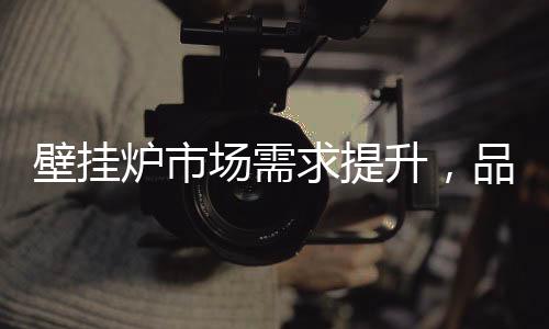 场需市场份额合计为85.7%