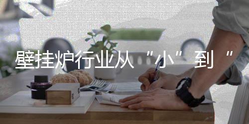 壁挂炉行业的炉行过去