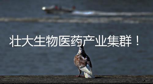 构建“产学研医”一体化生态