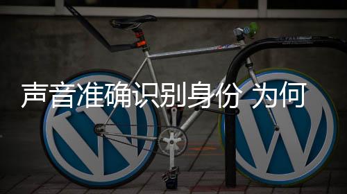 为何声音识别身份锁上其实