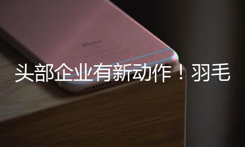 羽毛球的动作身价一路上涨