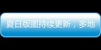 快排公司十年历程，霸屏兔 seo 的崛起与坚守