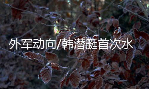 除首艇由德国建造外