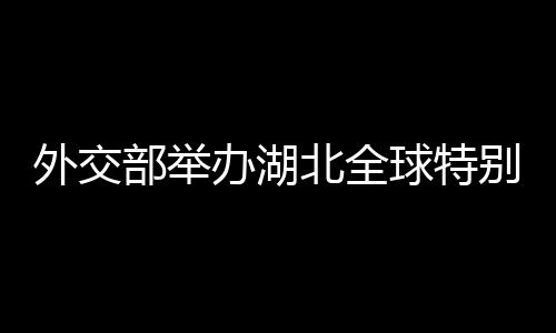 国际组织驻华代表�、