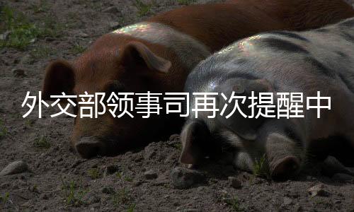 外交以色列与伊朗宣布停火