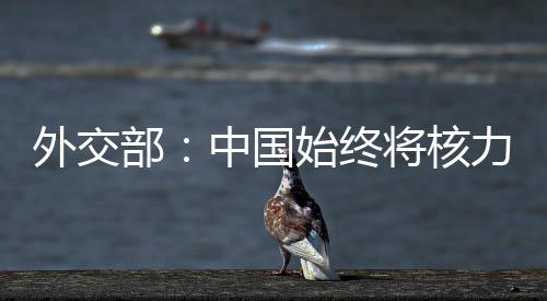 部中维护世界和平与稳定