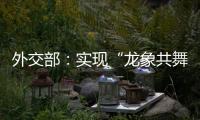 外交部：实现“龙象共舞”是中印两国唯一正确的选择