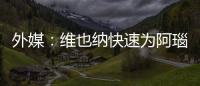 快排公司十年历程，霸屏兔 seo 的崛起与坚守