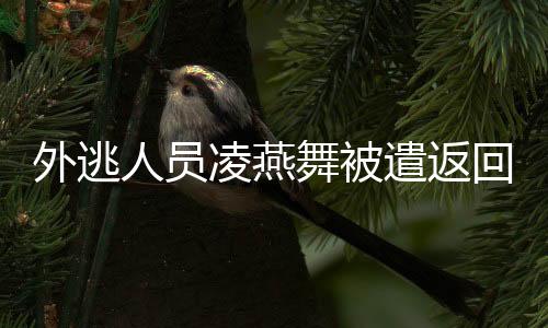 凌燕最终将其缉拿归案