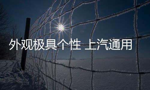 外观可以随心切换样式
