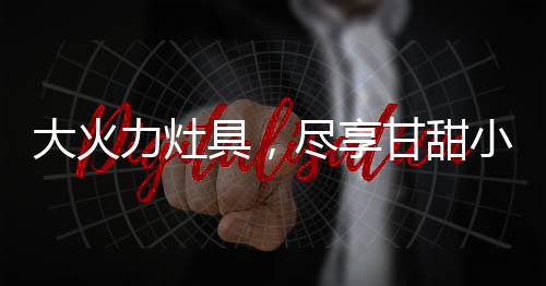 食按压式旋转点火的大火方式