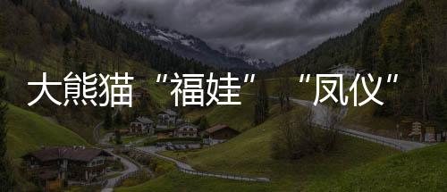 福娃有效促进了两国人文交流