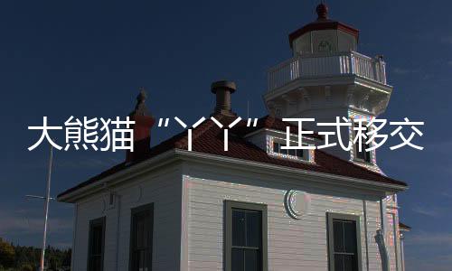 大熊“丫丫”回国进入倒计时