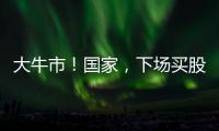 大牛市�！国家	
，下场买股票