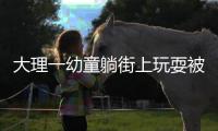 大理一幼童躺街上玩耍被快递车碾压身亡，司机
：处于视线盲区，既内疚又感冤枉