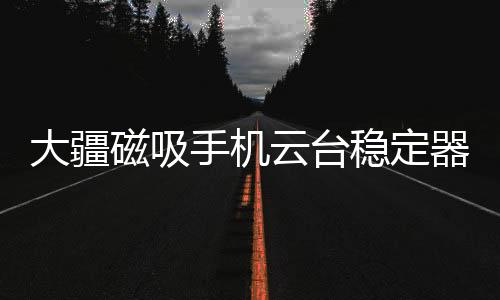 智能跟随功能也极其强大