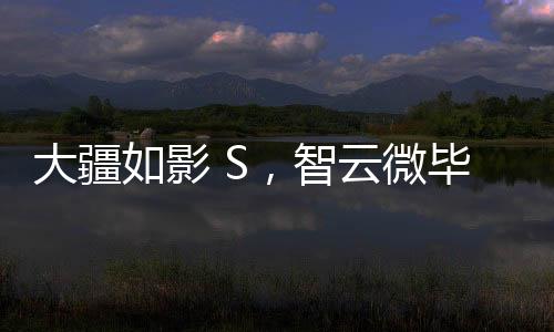weebill的升级是太多了