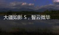 大疆如影 S，智云微毕S怎么样?