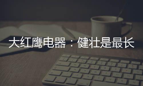 大红鹰电器与时代同步共进
