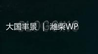 大国丰景 ｜ 潍柴WP4.6N收获机动力，低速高效真省油�
！