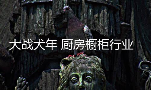 提高资源的大战利用率