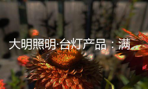 台灯客厅或是产品会客室