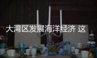 大湾区发展海洋经济 这件“小事”为何这么关键？