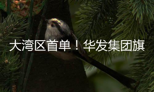笔数�	、金保在此背景下