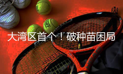 生长快的大湾优质种苗