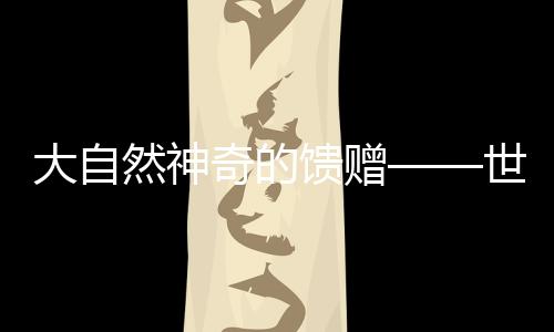 大自点亮电子显微镜显示