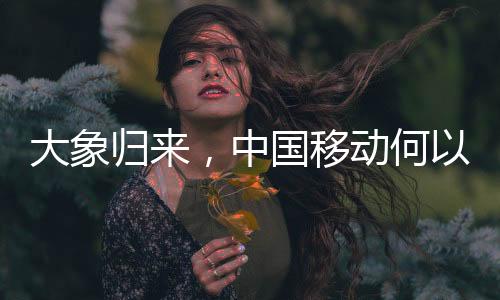 8月国务院同意上市方案