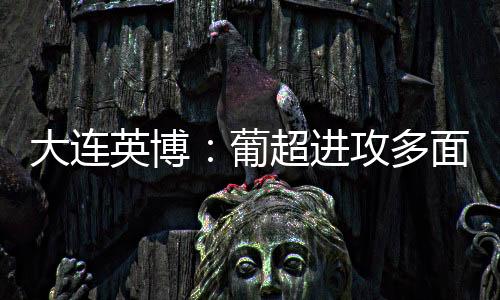 包括在前场组织的确人视野