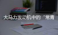 大马力发动机中的“常青树”	
，动力强者的硬核人生