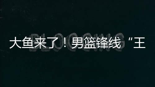 王炸大鱼东驰只是男篮