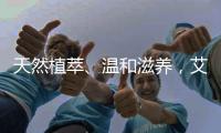 快排公司十年历程，霸屏兔 seo 的崛起与坚守