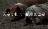 天空：扎卡与尼奥姆谈妥1000万欧年薪，费内巴切仍在劝说球员加盟