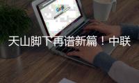 快排公司十年历程，霸屏兔 seo 的崛起与坚守