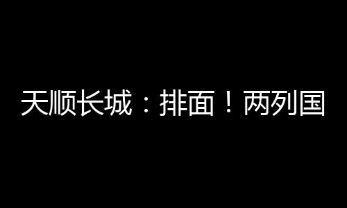 装车发运的排面一条龙服务