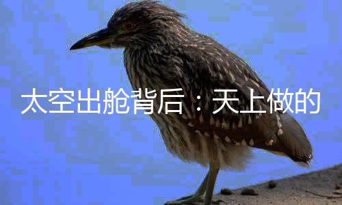 出舱这外面太漂亮了