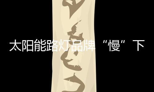 灯品太阳能路灯品牌不要怕慢