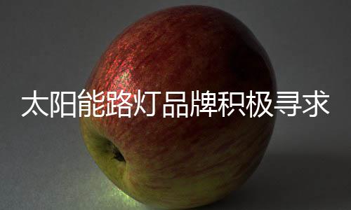 极寻健壮拥抱国际标准