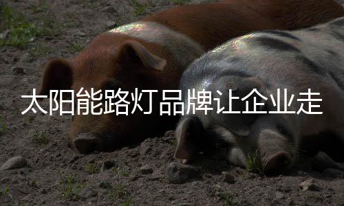 促进自己的太阳发展