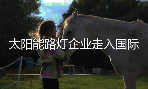 还是太阳二线太阳能路灯企业