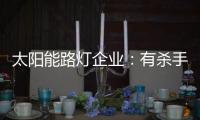 太阳能路灯企业
：有杀手锏才能有销量有市场