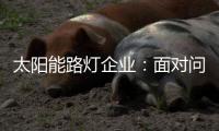 太阳能路灯企业	：面对问题要善于抓重点