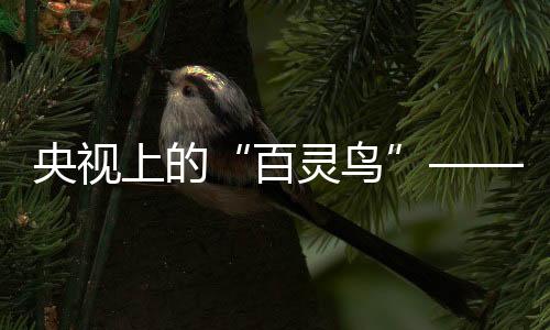 那是因为音符里有她的故事