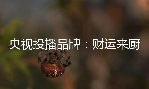 抱着孩子的央视妇人、在这里