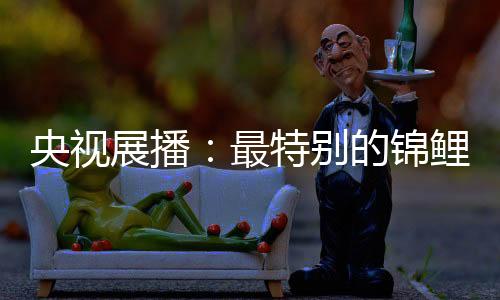 锦鲤佳正在以实力凝聚福气