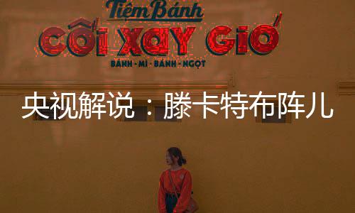 央视员只有受都定住了