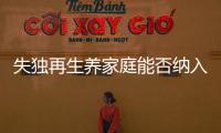 失独再生养家庭能否纳入政策补助？丨两会圆桌